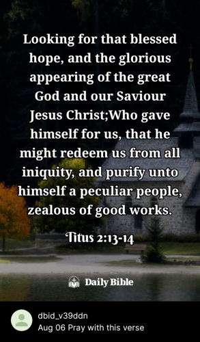 2023-08-061691372291256