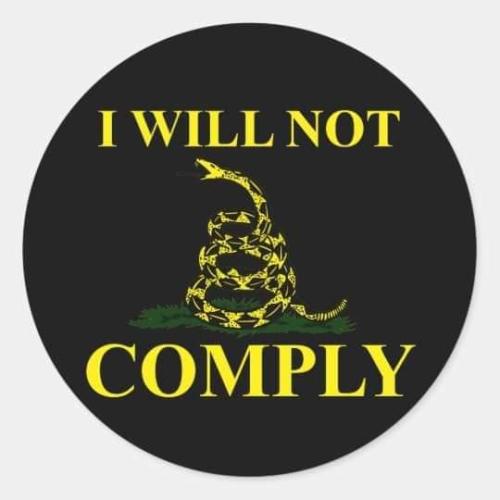 FB_IMG_1692730609719