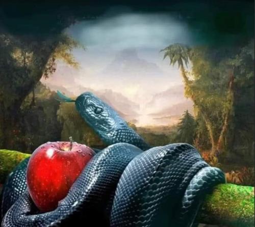 04412fc5-aa63-449f-a81c-3f7f8e1ba166