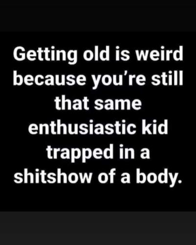 FB_IMG_1692091757169