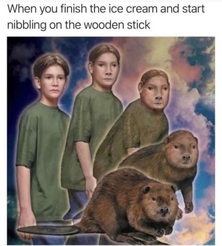 FB_IMG_1692730500158