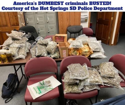 America's dumbest criminals