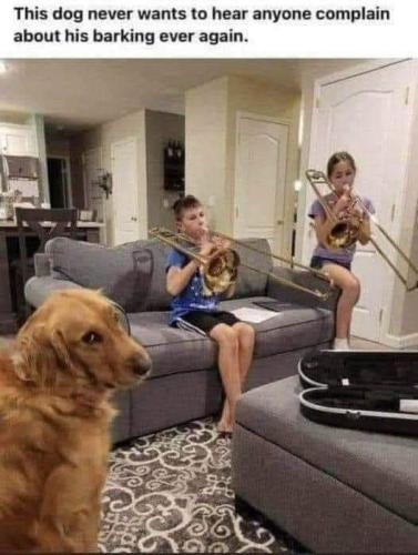 FB_IMG_1692786402907