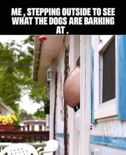 FB_IMG_1692876502235