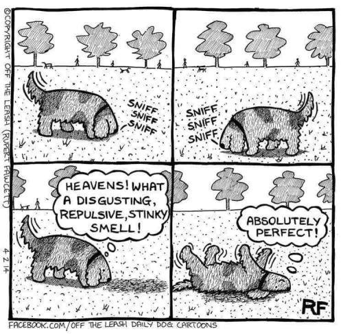 FB_IMG_1693481396026