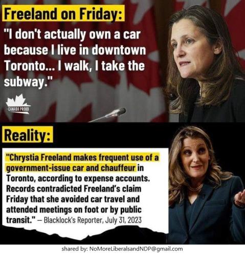 Freeland reality
