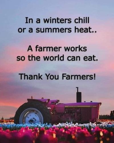 FB_IMG_1692129477886