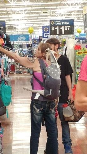 goat shopping