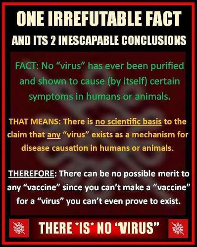 IMG_20230815_054918_292