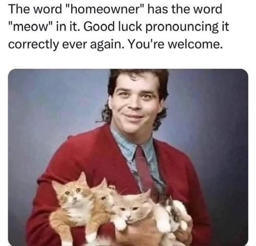the word homeowner
