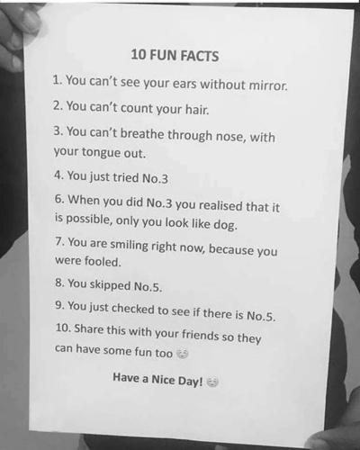 FB_IMG_1691752157064