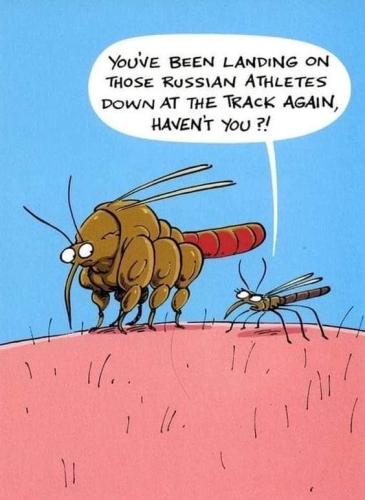 FB_IMG_1692214285501