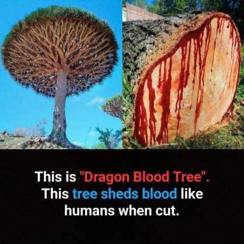 FB_IMG_1692923516451