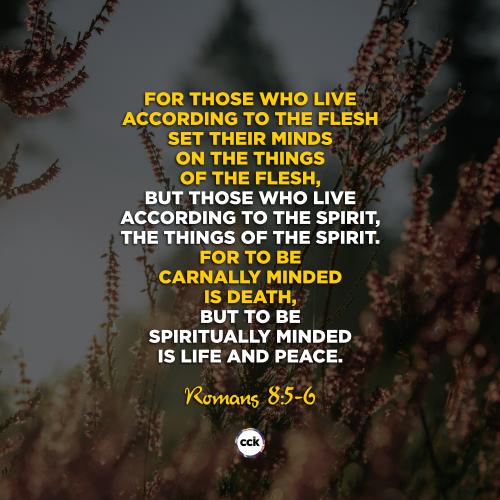 spiritually-minded-is-life-and-peace.-romans-8v5-6