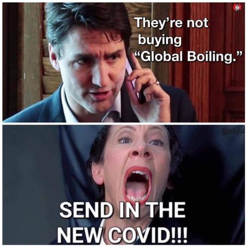 they are not buying it