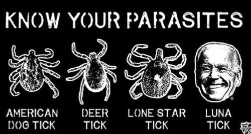 e6f74fe9-157c-458b-bfea-ac481d5fe6c6