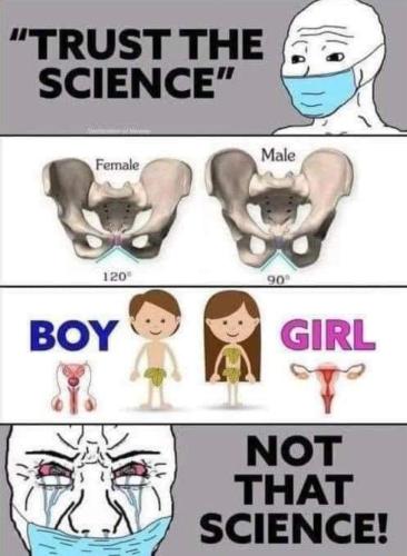 Screenshot_20230827_012224_Facebook