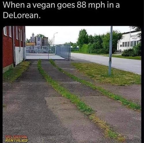 when a vegan