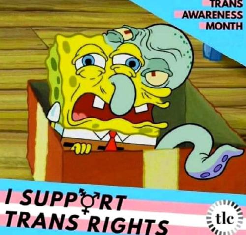 FB_IMG_1691772452712