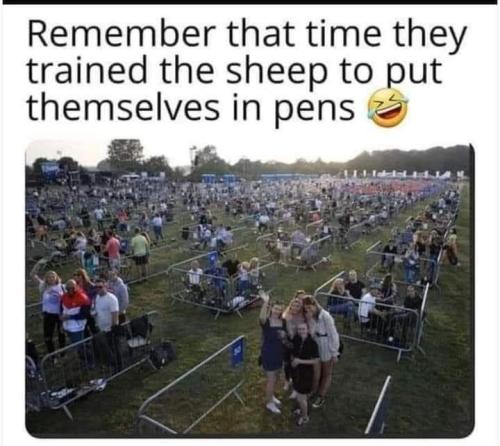 FB_IMG_1693468532252