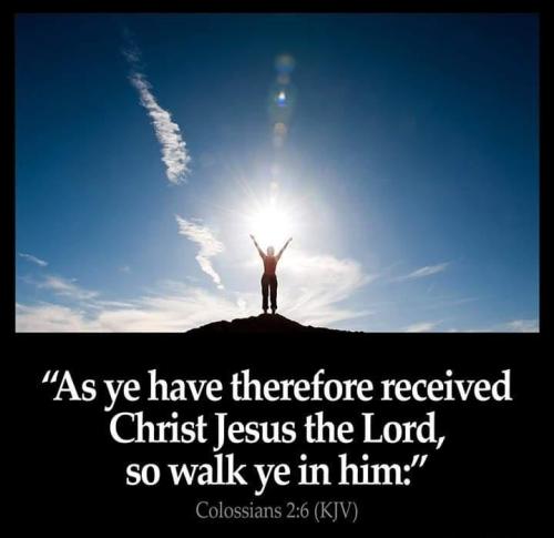 d3bae3ae-7246-442e-9e55-a8babf8af057