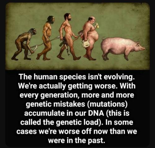 Screenshot_20230820_152431_YouTube