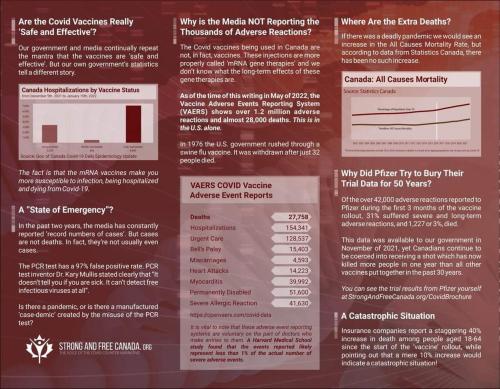 the stats