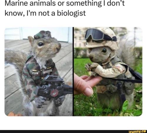 55500d6c-9af3-4cc4-8d37-e1f2cddd7ed8