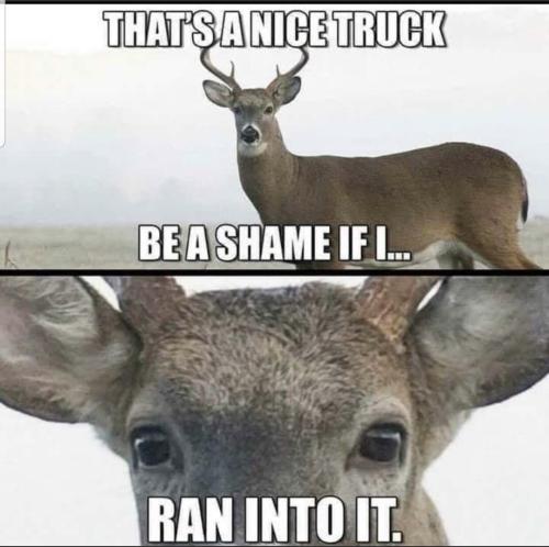 Screenshot_20230922-162103_MeWe