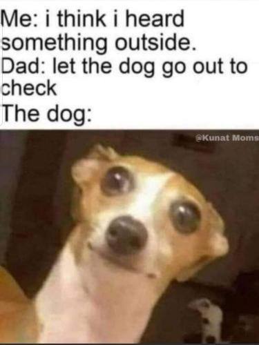 Screenshot_20230926-204410_MeWe