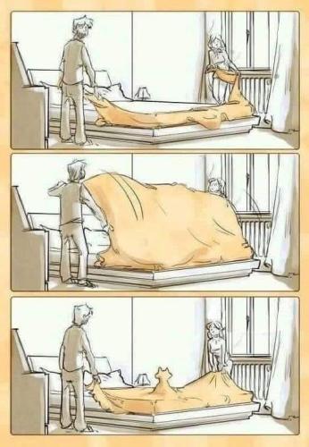 374730616_692074436294890_8942860301075388889_n