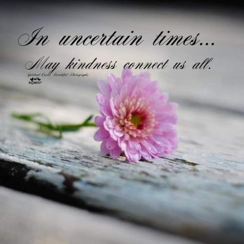 FB_IMG_1693604721468