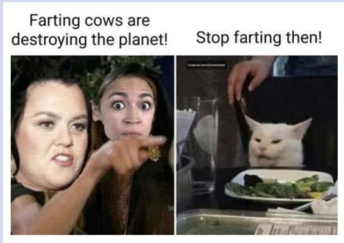 Screenshot_20230903_024211_Chrome