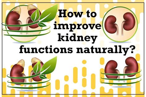 How To Improve Kidney Functions Naturally