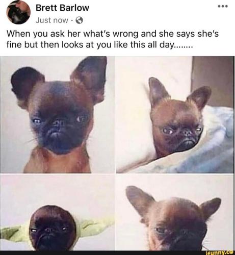 ec307c66-a695-4179-b543-ff77ceee1486