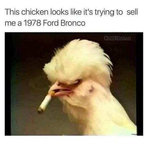 FB_IMG_1695975915188