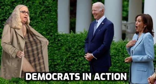 Democrats in action - joe biden - kamala harris