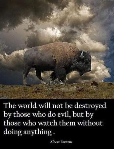 380638156_777065730888276_5962091242466057285_n