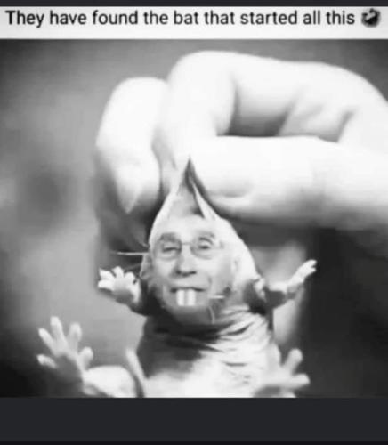 FB_IMG_1694397636708