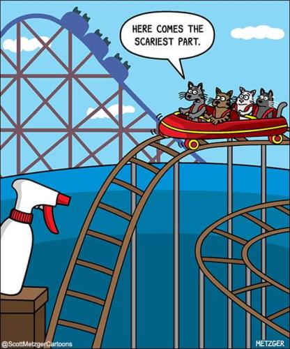 FB_IMG_1693856137725