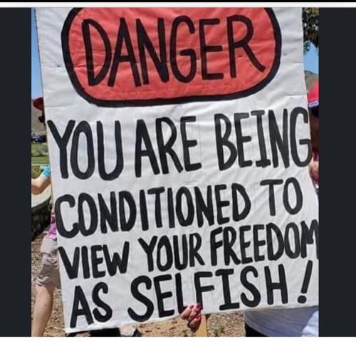 Screenshot_20230912_213628_Gallery