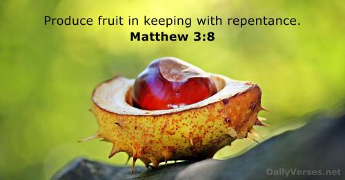 Matthew 3_8