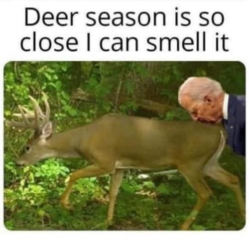 FB_IMG_1694267233493