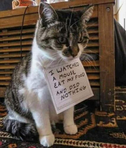 FB_IMG_1694788782080