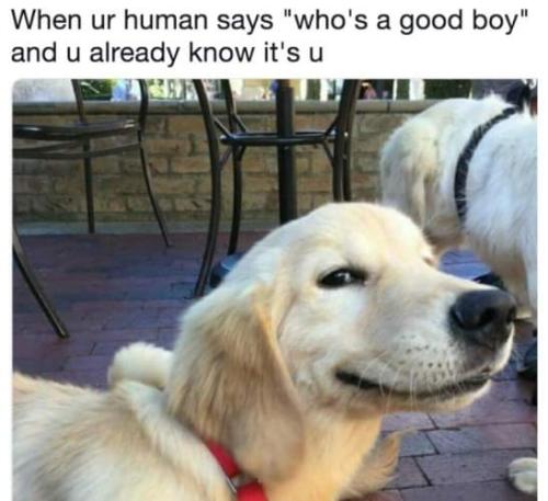 FB_IMG_1694096185184