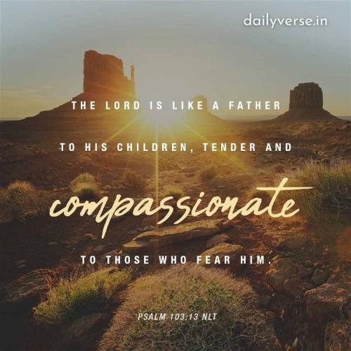 85319_39154836_10157717854874056_590201748547698688_o