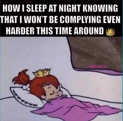 FB_IMG_1694968294424