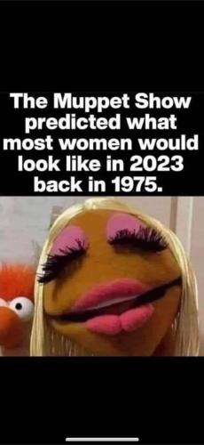 FB_IMG_1694399401669