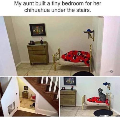 FB_IMG_1694465499522
