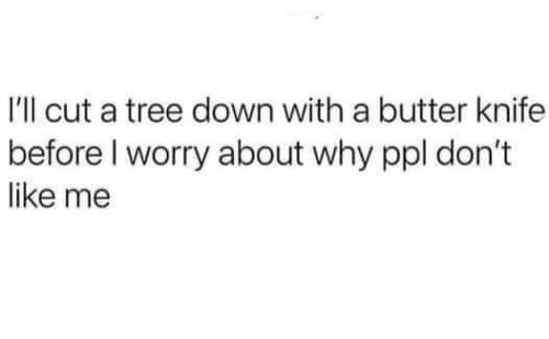 FB_IMG_1693923507341